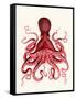 Red Octopus 3-Fab Funky-Framed Stretched Canvas