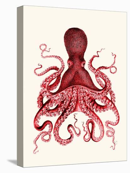 Red Octopus 3-Fab Funky-Stretched Canvas