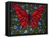 Red On Blue Butterfly-Holly Carr-Framed Stretched Canvas