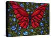 Red On Blue Butterfly-Holly Carr-Stretched Canvas