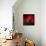 Red on Red-Philippe Sainte-Laudy-Framed Stretched Canvas displayed on a wall