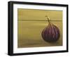 Red Onion on a Box-Gigi Begin-Framed Giclee Print