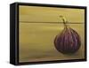 Red Onion on a Box-Gigi Begin-Framed Stretched Canvas