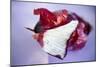 Red Onion, Partly Peeled-Foodcollection-Mounted Photographic Print