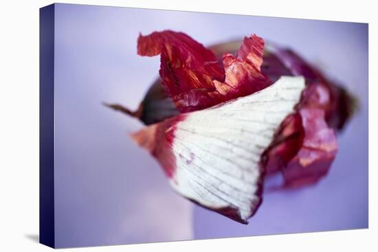 Red Onion, Partly Peeled-Foodcollection-Stretched Canvas