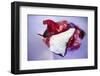 Red Onion, Partly Peeled-Foodcollection-Framed Photographic Print