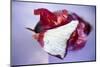 Red Onion, Partly Peeled-Foodcollection-Mounted Photographic Print