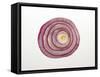 Red Onion Ring-Foodcollection-Framed Stretched Canvas