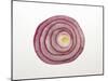 Red Onion Ring-Foodcollection-Mounted Photographic Print