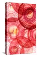 Red Onion Segments-Ryan Matthew Smith-Stretched Canvas