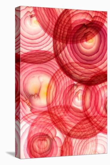 Red Onion Segments-Ryan Matthew Smith-Stretched Canvas