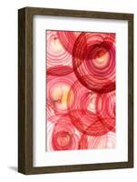 Red Onion Segments-Ryan Matthew Smith-Framed Photographic Print