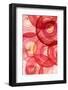 Red Onion Segments-Ryan Matthew Smith-Framed Photographic Print