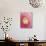 Red Onion-Greg Elms-Photographic Print displayed on a wall