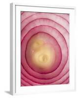 Red Onion-Greg Elms-Framed Photographic Print