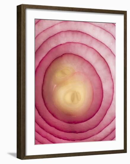 Red Onion-Greg Elms-Framed Photographic Print