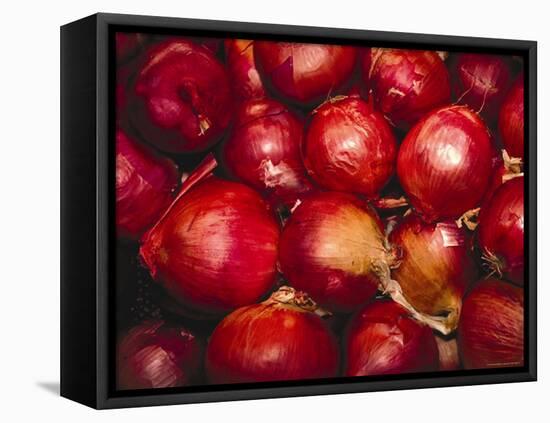 Red Onions-Ken Hammond-Framed Stretched Canvas