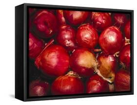 Red Onions-Ken Hammond-Framed Stretched Canvas