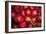 Red Onions-Ken Hammond-Framed Art Print