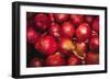 Red Onions-Ken Hammond-Framed Art Print