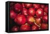 Red Onions-Ken Hammond-Framed Stretched Canvas