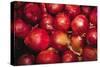 Red Onions-Ken Hammond-Stretched Canvas
