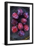 Red Opal-Den Reader-Framed Premium Photographic Print