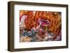 Red, orange and yellow petrified wood abstract, Blue Mesa, Petrified Forest National Park, Arizona-William Perry-Framed Photographic Print