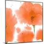 Red Orange Poppies-Sheila Golden-Mounted Art Print