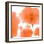 Red Orange Poppies-Sheila Golden-Framed Art Print