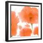 Red Orange Poppies-Sheila Golden-Framed Art Print