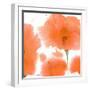 Red Orange Poppies-Sheila Golden-Framed Art Print