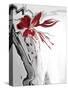 Red Orchid 1-Rabi Khan-Stretched Canvas