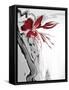 Red Orchid 1-Rabi Khan-Framed Stretched Canvas