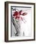 Red Orchid 1-Rabi Khan-Framed Art Print