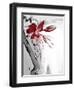 Red Orchid 1-Rabi Khan-Framed Art Print