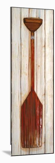 Red Paddle-Gina Ritter-Mounted Premium Giclee Print