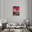 Red Paint And Chrome-George Oze-Photographic Print displayed on a wall