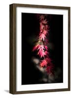 Red Paint Stroke-Philippe Sainte-Laudy-Framed Photographic Print