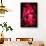 Red paint-Philippe Sainte-Laudy-Framed Stretched Canvas displayed on a wall