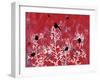 Red Painted Texture background with White Floral and Black Birds and Butterflies-Bee Sturgis-Framed Art Print