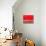 Red Painting-Charlie Millar-Stretched Canvas displayed on a wall