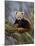 Red Panda (Ailurus Fulgens), Himalayas-Andres Morya Hinojosa-Mounted Premium Photographic Print