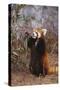 Red Panda Eating Bamboo Leaves-DLILLC-Stretched Canvas