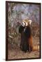 Red Panda Eating Bamboo Leaves-DLILLC-Framed Premium Photographic Print