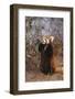 Red Panda Eating Bamboo Leaves-DLILLC-Framed Photographic Print