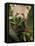 Red Panda Feeding on Bamboo Leaves, Iucn Red List of Endangered Species-Eric Baccega-Framed Stretched Canvas