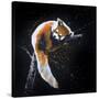 Red Panda In A Tree-null-Stretched Canvas