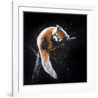 Red Panda In A Tree-null-Framed Art Print