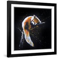 Red Panda In A Tree-null-Framed Art Print